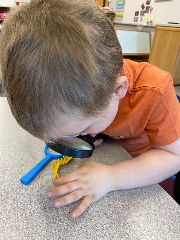 little boy using magnifying glass to get a closer look at plastic bugs